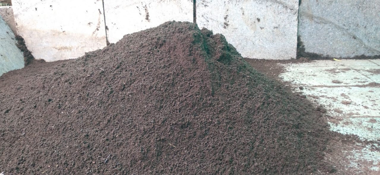 IMG-20220122-WA0003-1