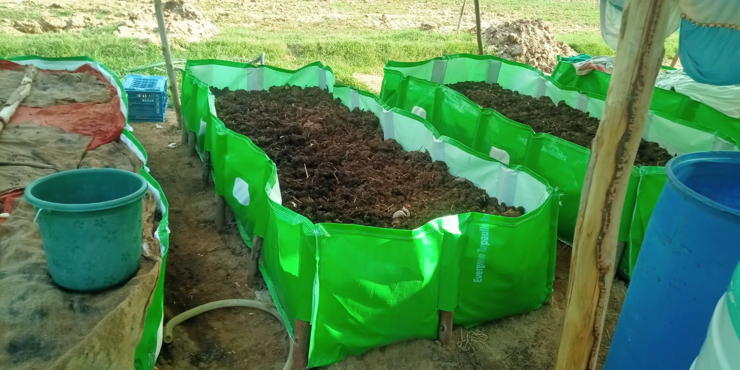 IMG-20220122-WA0006-1